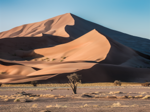 Exploration des Dunes de Sossusvlei: Un Guide pour le Voyageur Aventurier en Namibie